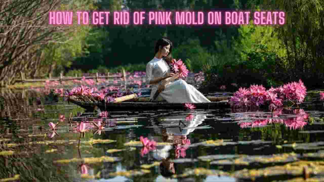How to Get Rid of Pink Mold on Boat Seats