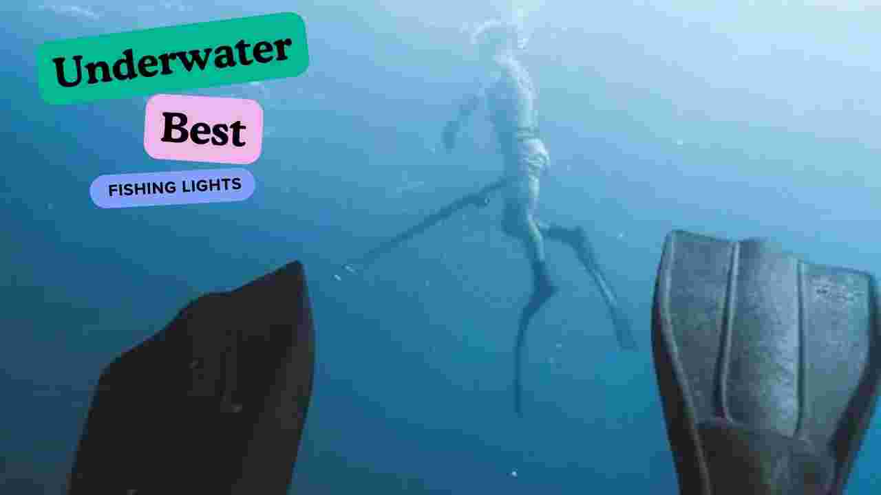 Best Underwater Fishing Lights